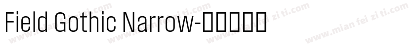 Field Gothic Narrow字体转换